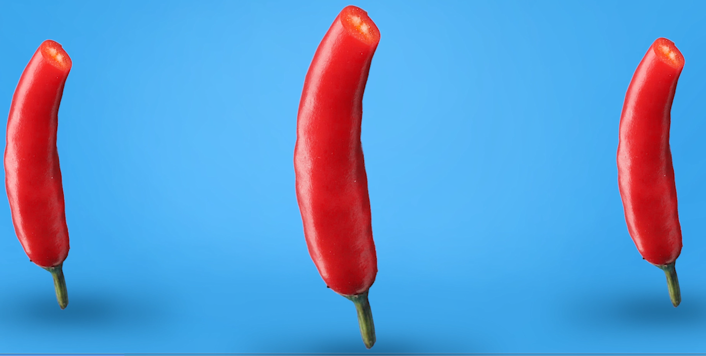 ����Ƭ